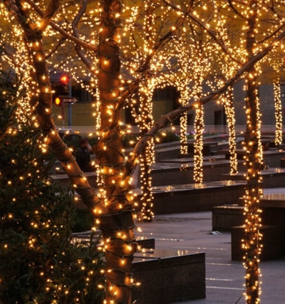 3920_1734924839554032082.png 微信截图_20241223113323.png